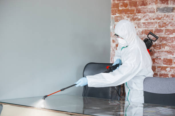 Best Mold Remediation for Healthcare Facilities  in Siena College, NY